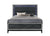 ACME Haiden LED & Weathered Black Finish Queen Bed Model 28430Q