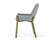 Modrest Ganon Modern Grey & Antique Brass Dining Chair