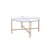 ACME Veises Champagne Coffee Table Model 82995