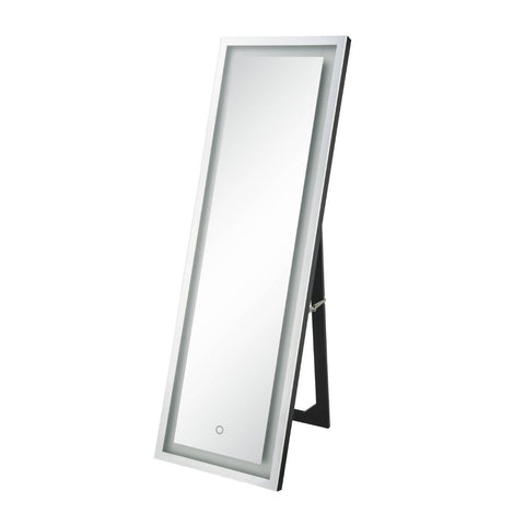 ACME Nyoka Mirrored Floor Mirror Model 97714