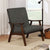Furniture Of America Deena Dark Gray Mid-Century Modern Accent Chair Model CM-AC5708DG