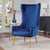 Furniture Of America Quintana Navy Contemporary Accent Chair, Navy Model CM-AC672NV