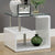 Furniture Of America Torkel White/Chrome Contemporary End Table Model CM4056E