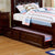 Furniture Of America Olivia Dark Walnut Traditional Trundle, Dark Walnut Model CM7155EX-TR