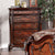 Furniture Of America Rosewood Dark Oak Traditional Chest Model CM7183C