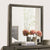 Furniture Of America Roanne Gray Transitional Mirror Model FOA7927M