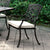 Furniture Of America Charissa Antique Black/Beige Transitional Arm Chair (4 Ctn) Model CM-OT2125-AC-4PK