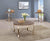 Furniture Of America Wicklow Rustic Oak/Gold Contemporary 3-Piece Coffee Table Set Model CM4364-3PK