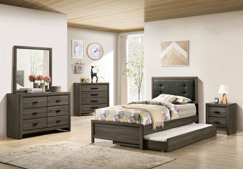 Furniture Of America Roanne Gray/Charcoal Transitional 4-Piece Twin Bedroom Set Model FOA7927T-4PC