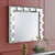 ACME Dominic Mirrored Wall Decor Model AC00765